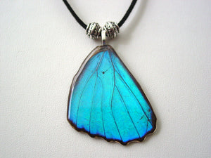 Butterfly Real Wing Jewelry