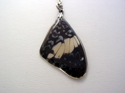 Real Butterfly Wing Necklace Blue White Peruvian Forewing