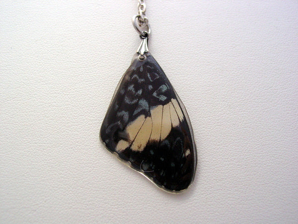 Real Butterfly Wing Necklace Blue White Peruvian Forewing