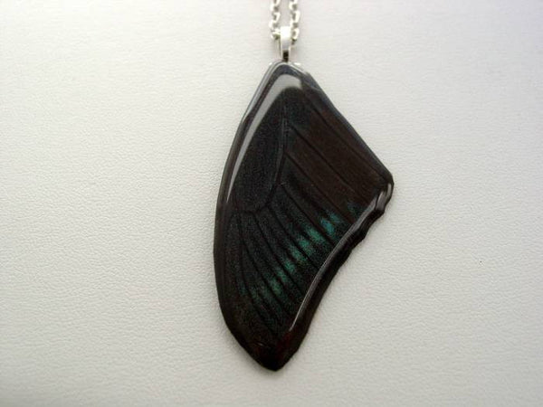 Real Butterfly Wing Necklace Nature Jewelry Blue Green Papilio Butterfly Necklace