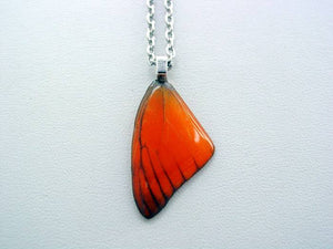 Real Butterfly Wing Necklace Appias Nero Orange Forewing