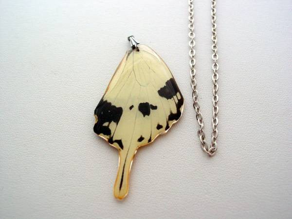 Real Butterfly Wing Jewelry Swallowtail African Butterfly Jewelry Necklace #2