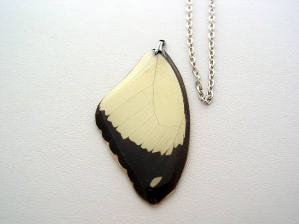 Real Butterfly Wing Necklace Jewelry African Swallowtail Butterfly Nature Jewelry Necklace #4