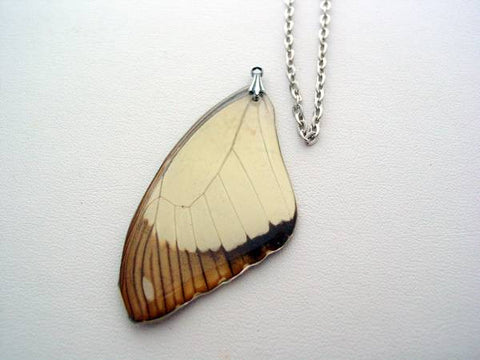Real Butterfly Wing Necklace Jewelry African Swallowtail Butterfly Nature Jewelry Necklace #4