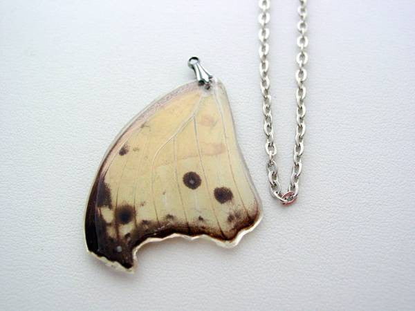 Butterfly Wing Necklace Mother of Pearl Real Butterfly Wing Necklace Nature Necklace (6)