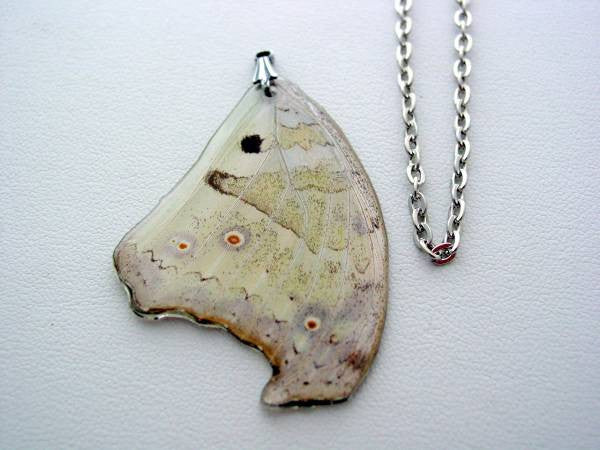 Butterfly Wing Necklace Mother of Pearl Real Butterfly Wing Necklace Nature Necklace (6)