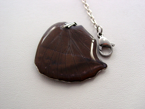 Butterfly Wing Necklace Moon Dove Butterfly Reversible Hindwing Real Butterfly Jewelry Nature Necklace (H4)