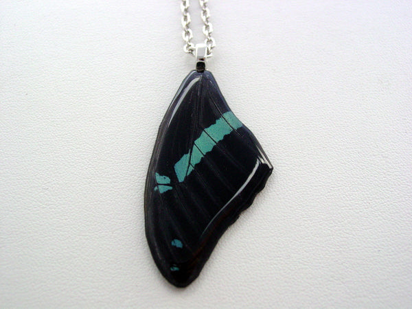 Butterfly Wing Necklace Papilio Nireus Teal Black Forewing Real Butterfly Wing Nature Jewelry