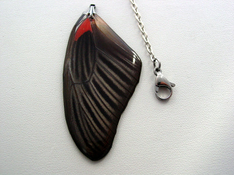 Butterfly Necklace Red Papilio Rumanzovia Reversible Real Butterfly Wing Nature Jewelry