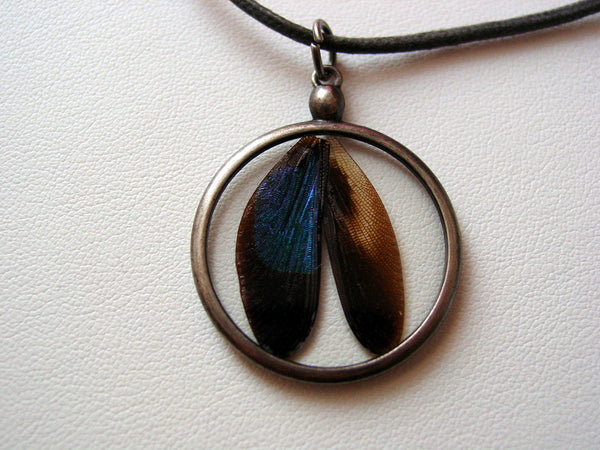 Dragonfly Real Iridescent Blue Dragonfly Wings Necklace Dragonflies Damselfly Real Specimen Resin Wing Jewelry (D6)