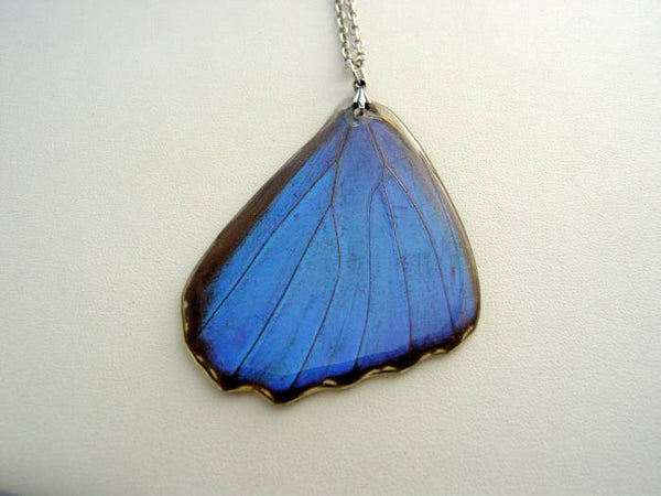 Real Butterfly Necklace Reversible Blue Morpho Real Butterfly Wing Nature Jewelry (abm4)