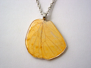 Butterfly Wing Necklace Hebomoia Glaucippe Real Butterfly Hind-wing Necklace Nature Jewelry (C)