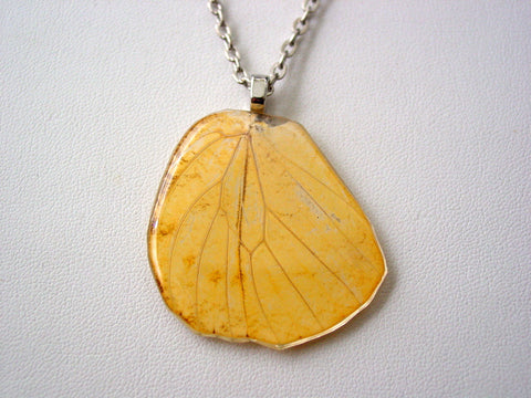 Butterfly Wing Necklace Hebomoia Glaucippe Real Butterfly Hind-wing Necklace Nature Jewelry (C)